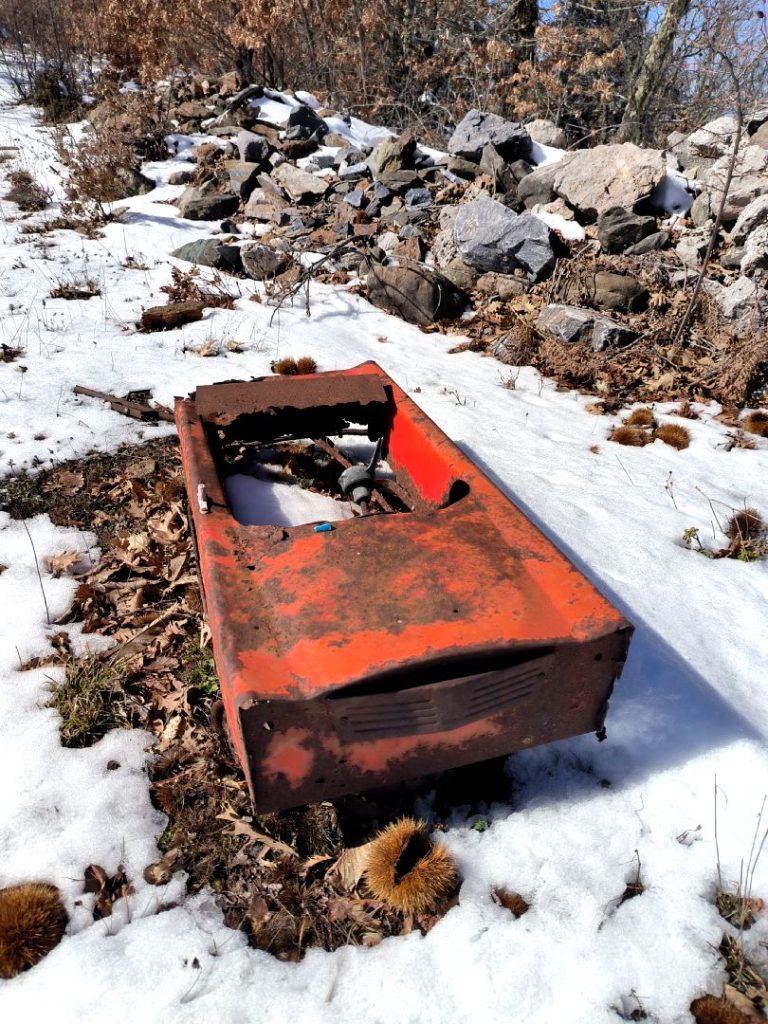 Το μονοπάτι του Δάσους, Καρυές Λακωνίας