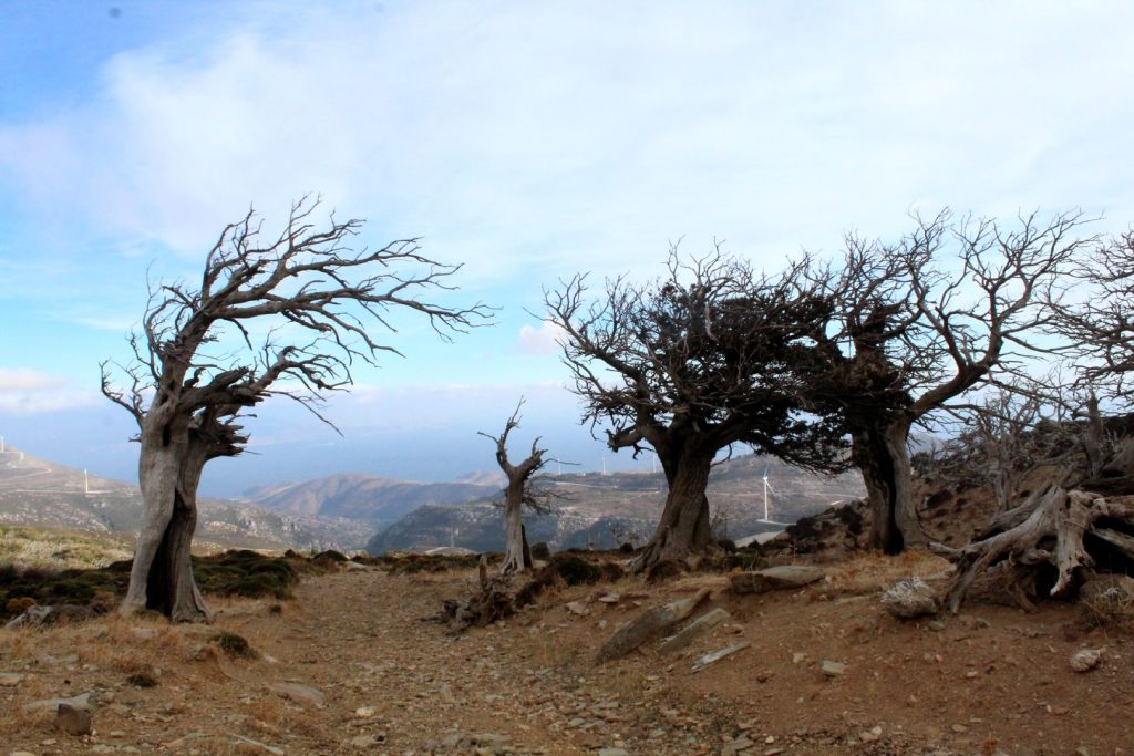 Καστανόλογγος, Όρος Όχη