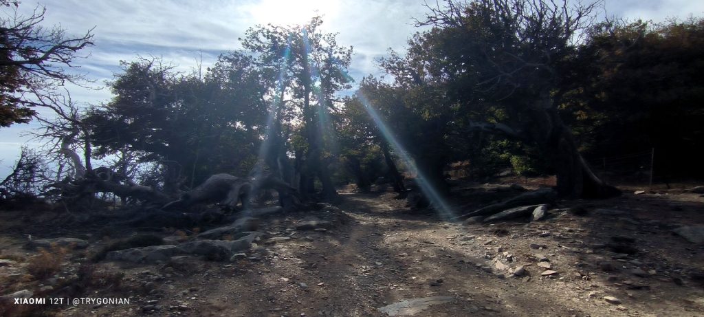 Καστανόλογγος, Όρος Όχη