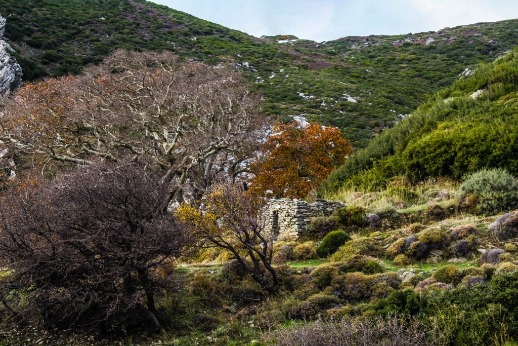 Μεκουνίδα, Κάρυστος, Εύβοια