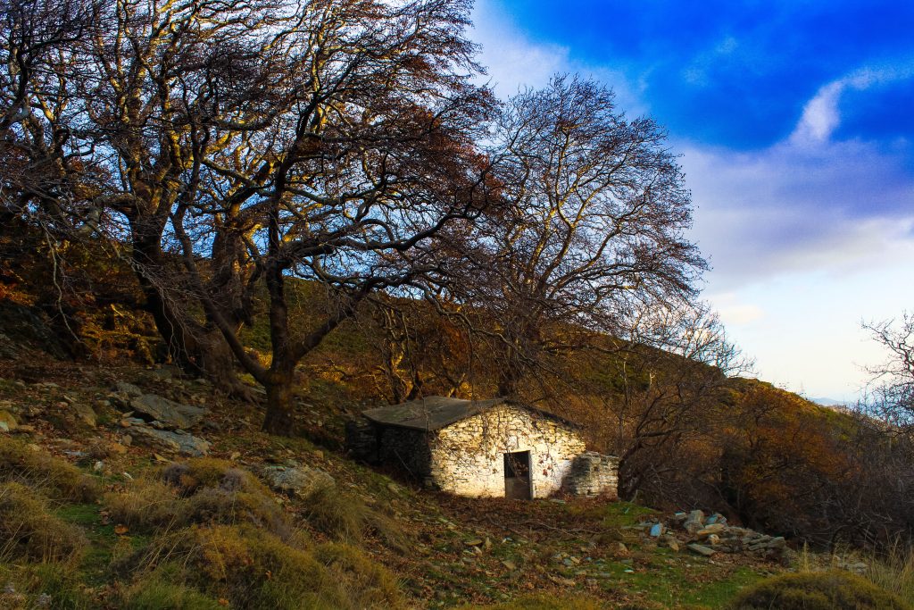 Μεκουνίδα, Κάρυστος, Εύβοια