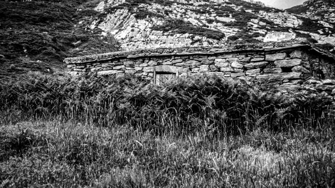 Abandoned sheepfold